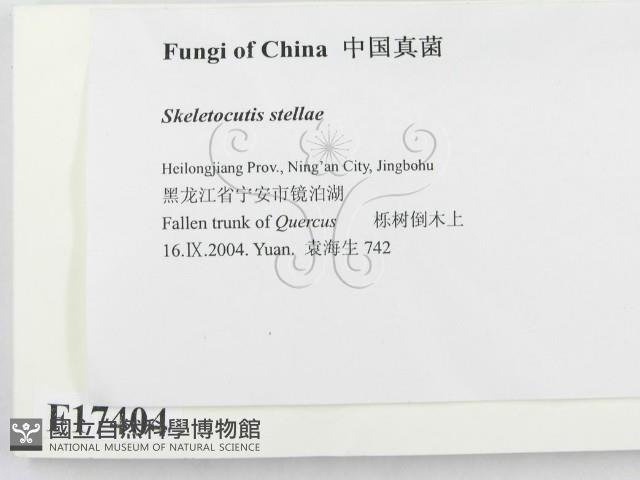 登錄號:F0017404藏品圖，第2張