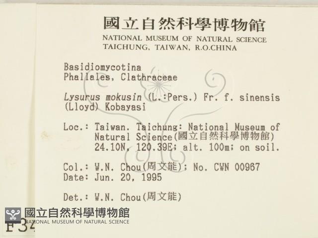 登錄號:F0003404藏品圖，第2張