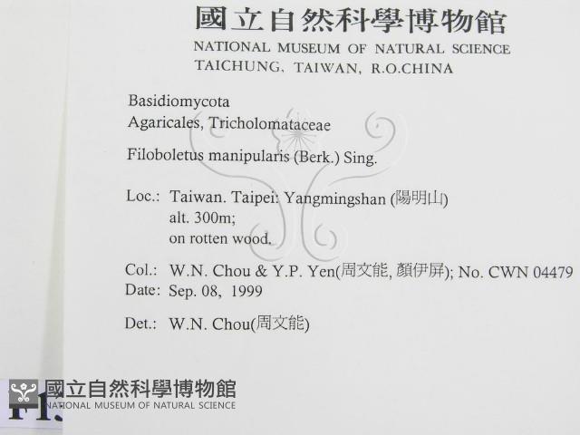 登錄號:F0013404藏品圖，第2張