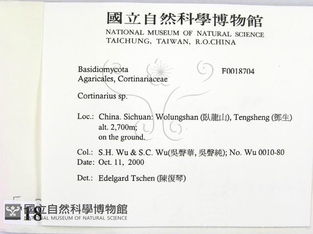 登錄號:F0018704藏品圖，第2張