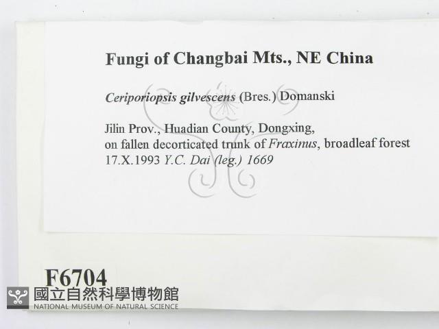 登錄號:F0006704藏品圖，第2張