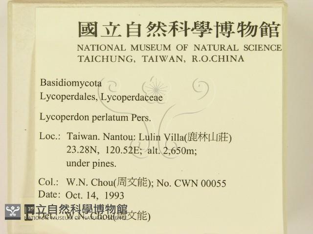 登錄號:F0001704藏品圖，第2張