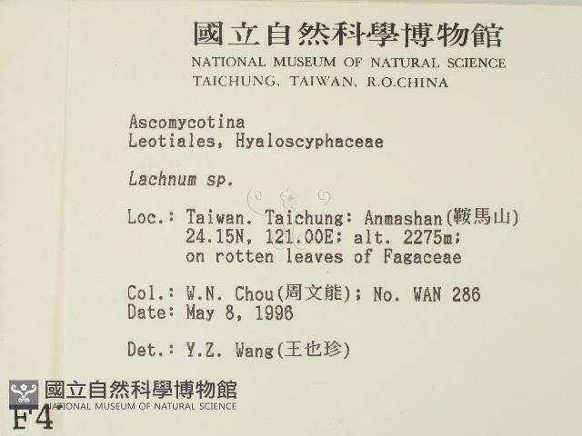 登錄號:F0004704藏品圖，第2張