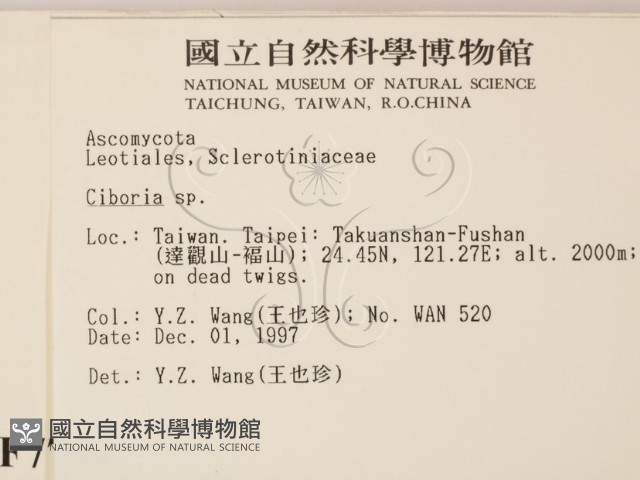 登錄號:F0007704藏品圖，第2張