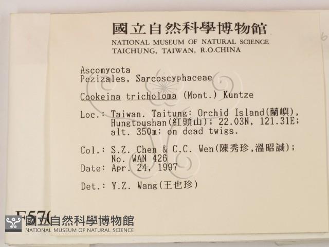 登錄號:F0005704藏品圖，第2張