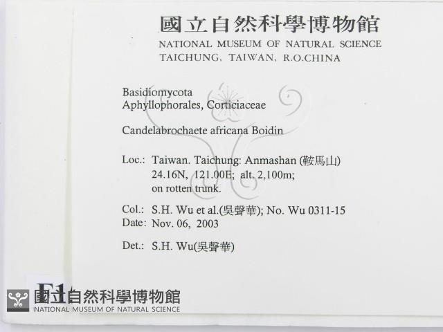 登錄號:F0015704藏品圖，第2張