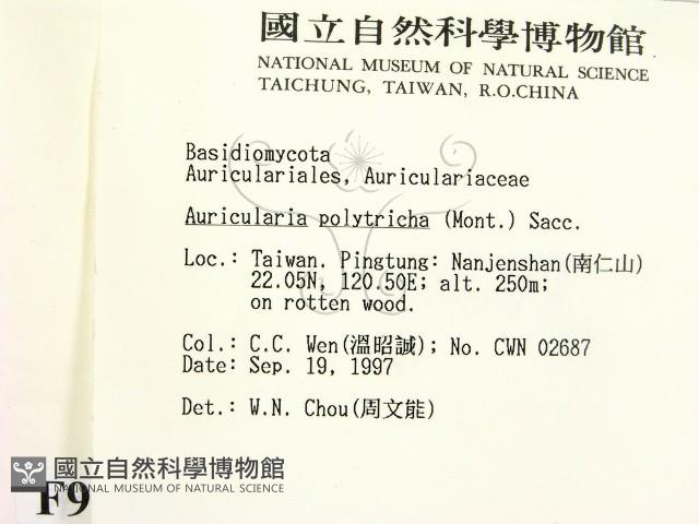 毛木耳藏品圖，第2張