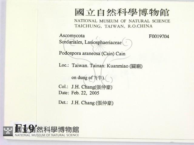 登錄號:F0019704藏品圖，第2張