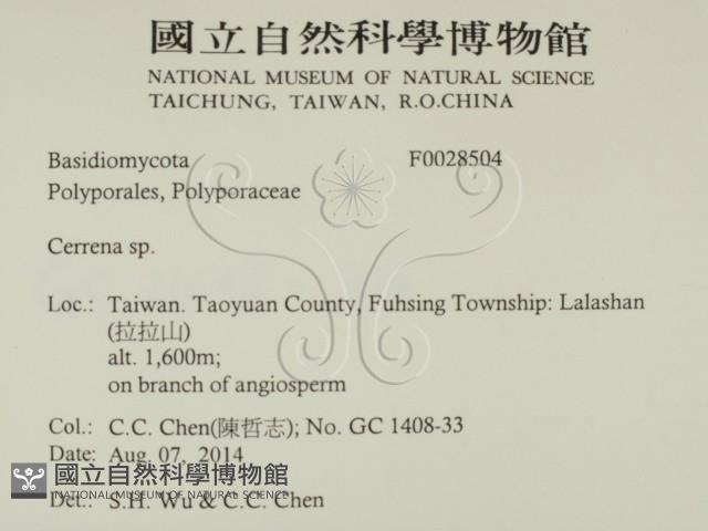 登錄號:F0028504藏品圖，第2張