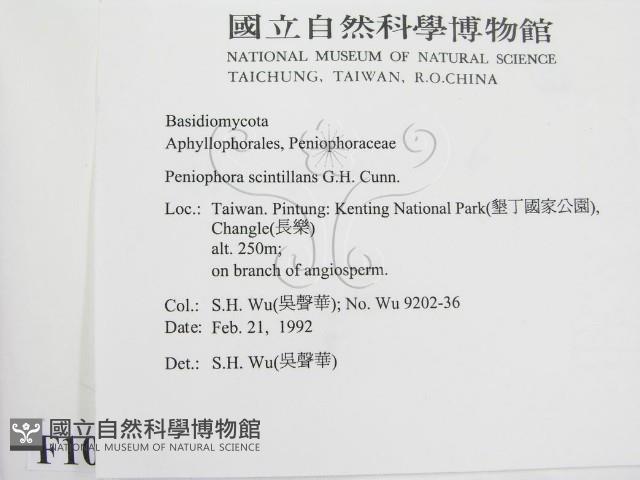 登錄號:F0010504藏品圖，第2張