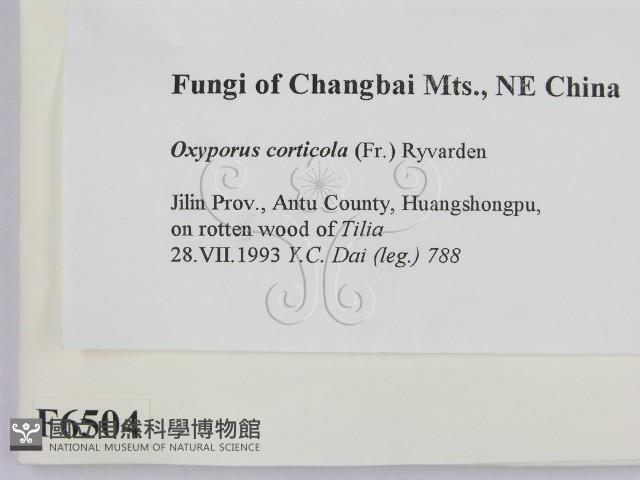 登錄號:F0006504藏品圖，第2張