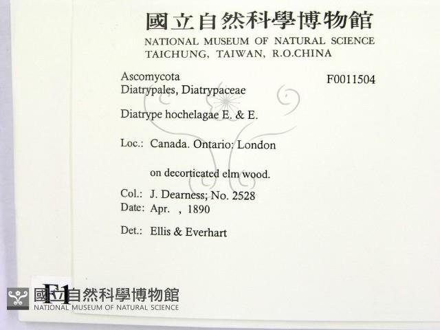 登錄號:F0011504藏品圖，第2張