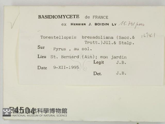 登錄號:F0004504藏品圖，第2張