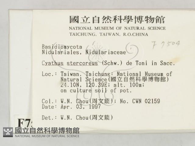 登錄號:F0007504藏品圖，第2張