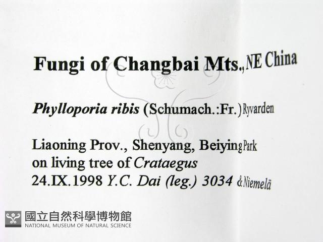 登錄號:F0009504藏品圖，第2張