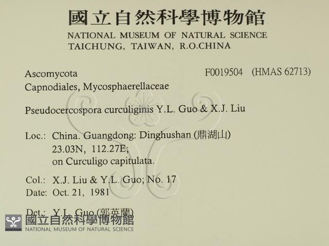 登錄號:F0019504藏品圖，第2張