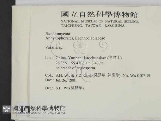 登錄號:F0013504藏品圖，第2張