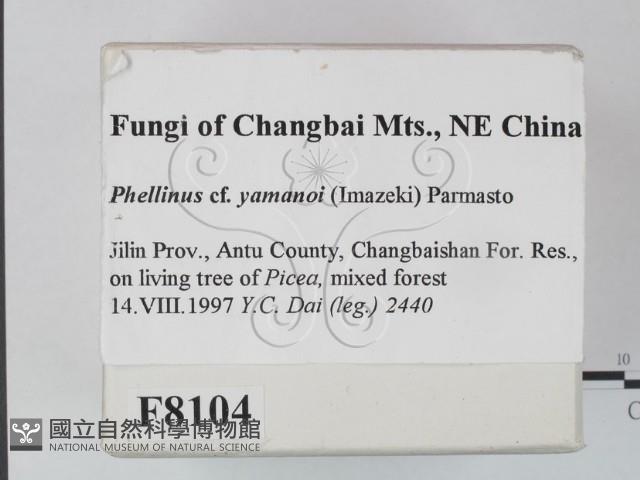 登錄號:F0008104藏品圖，第2張