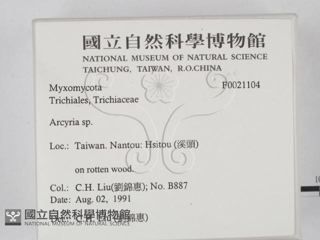 登錄號:F0021104藏品圖，第2張