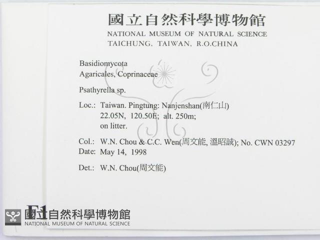 登錄號:F0011104藏品圖，第2張