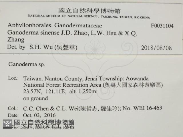 登錄號:F0031104藏品圖，第2張