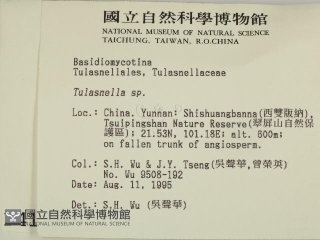 登錄號:F0004104藏品圖，第2張