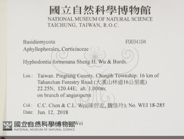 登錄號:F0034104藏品圖，第2張