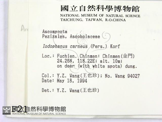 登錄號:F0002104藏品圖，第2張