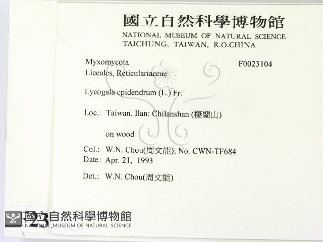 登錄號:F0023104藏品圖，第2張