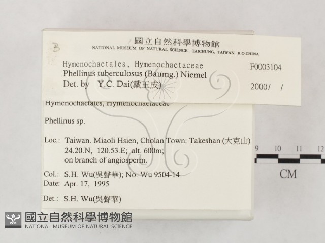 登錄號:F0003104藏品圖，第2張