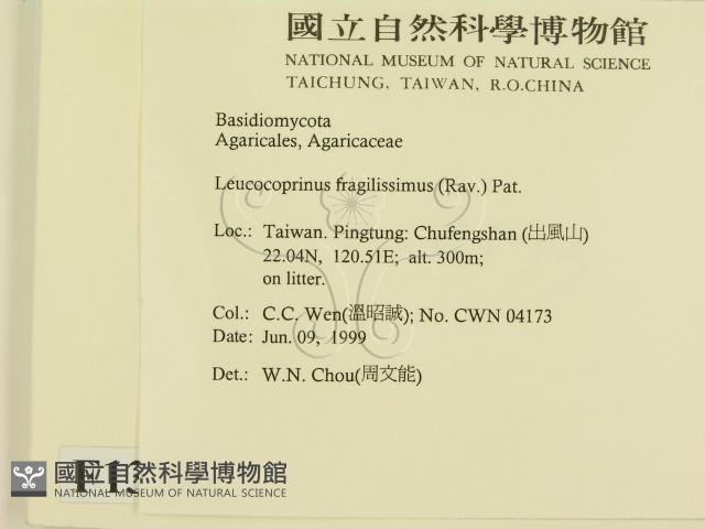 登錄號:F0013104藏品圖，第2張