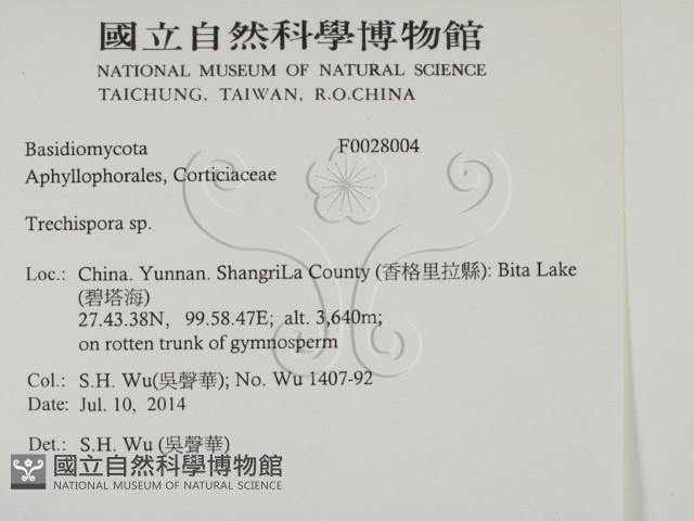 登錄號:F0028004藏品圖，第2張