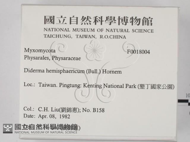登錄號:F0018004藏品圖，第2張