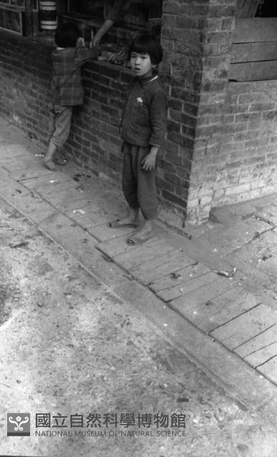 1950至2006年臺灣常民生活藏品圖，第1張