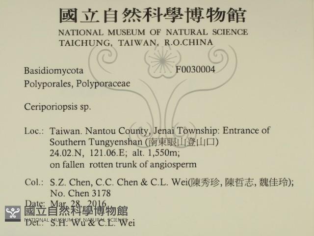 登錄號:F0030004藏品圖，第2張