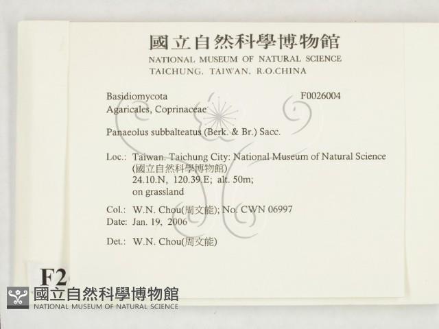 登錄號:F0026004藏品圖，第2張