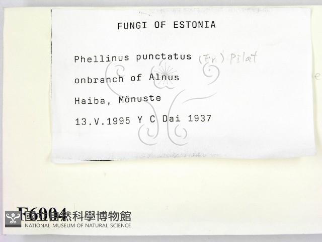 登錄號:F0006004藏品圖，第2張