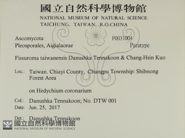 登錄號:F0031004藏品圖，第2張