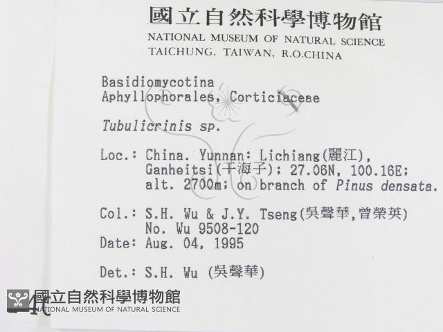 登錄號:F0004004藏品圖，第2張