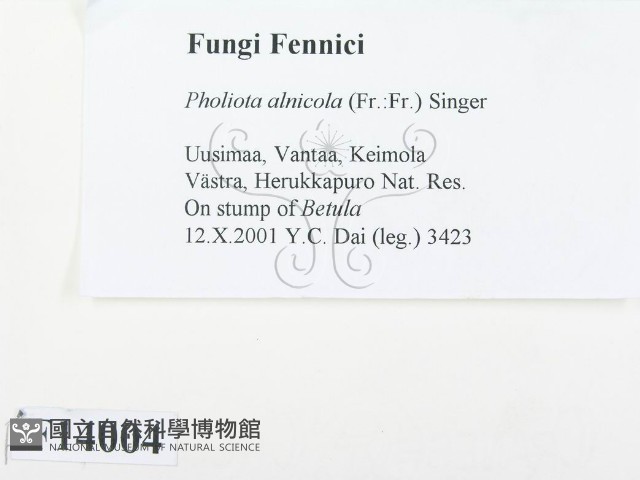 登錄號:F0014004藏品圖，第2張