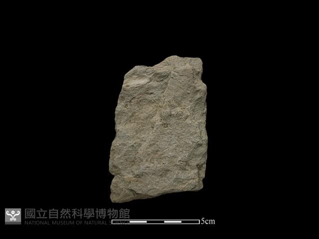 斧鋤形器藏品圖，第2張