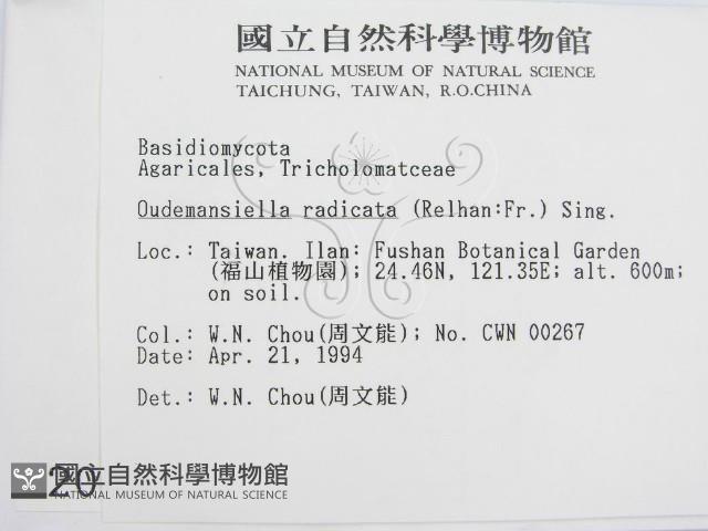 登錄號:F0002004藏品圖，第2張