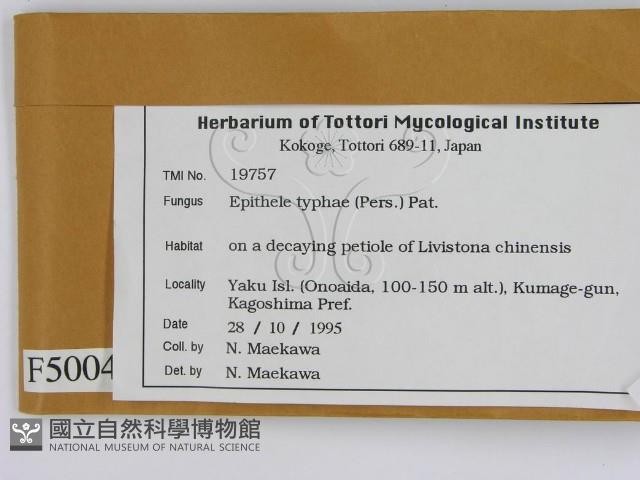 登錄號:F0005004藏品圖，第2張