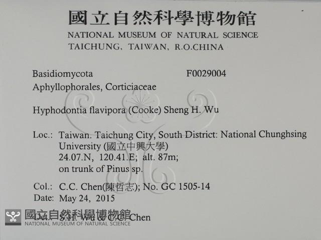 登錄號:F0029004藏品圖，第2張