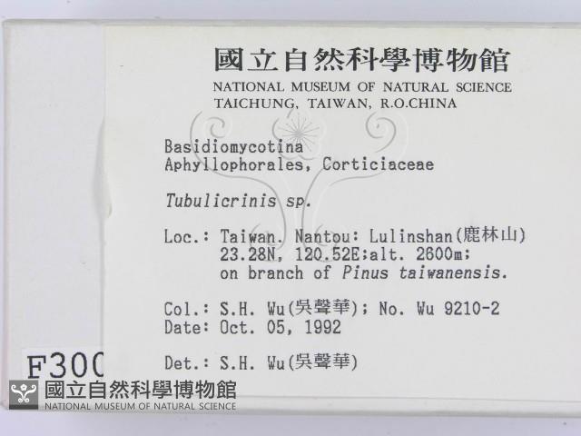 登錄號:F0003004藏品圖，第2張