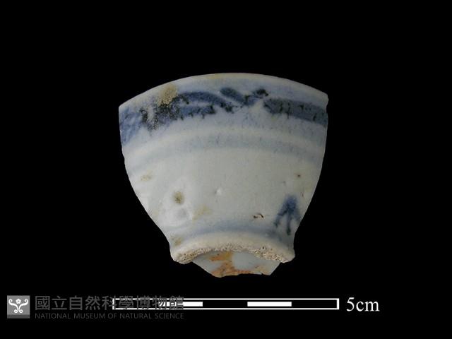 瓷杯藏品圖，第1張