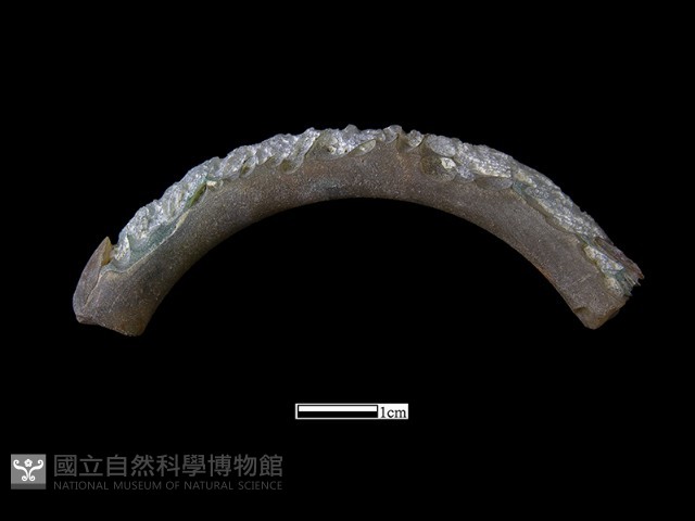 手鐲藏品圖，第2張