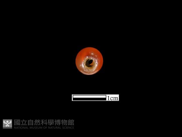 瑪瑙珠藏品圖，第2張