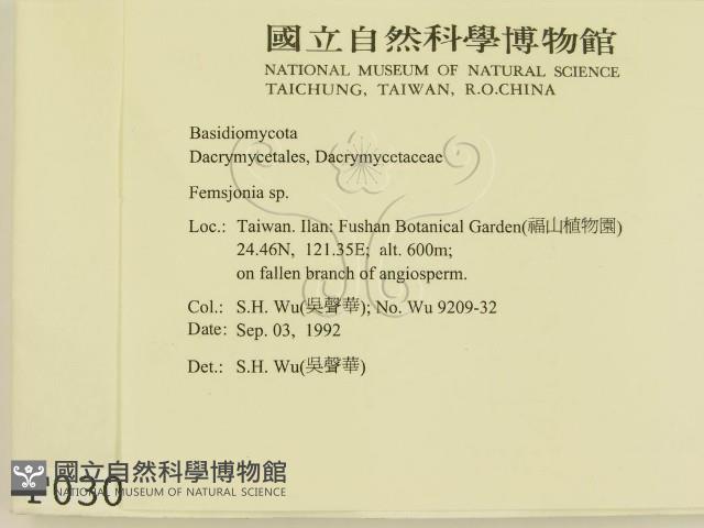 登錄號:F0000304藏品圖，第2張