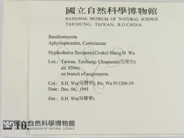 登錄號:F0010304藏品圖，第2張